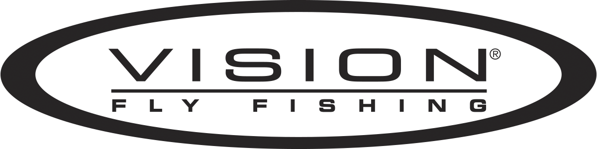 Vision Logo